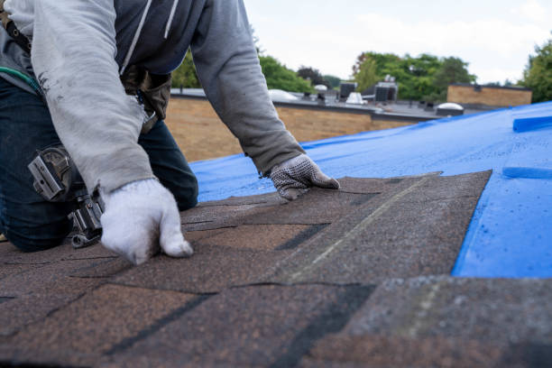 Best Metal Roofing Contractor  in Monticello, MS
