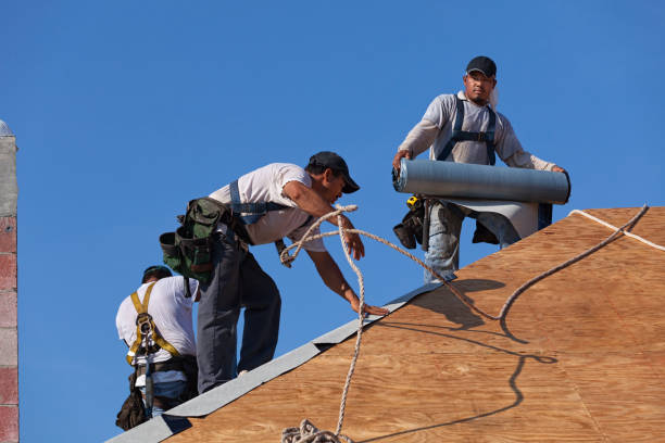 Best Roof Gutter Cleaning  in Monticello, MS